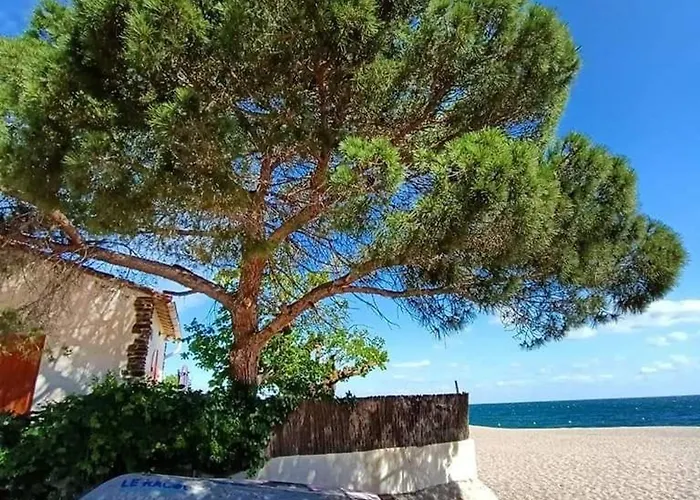 2 Pieces 4 Pers, Proche Plage, Animaux Acceptes - Fr-1-776-30 Apartmán *