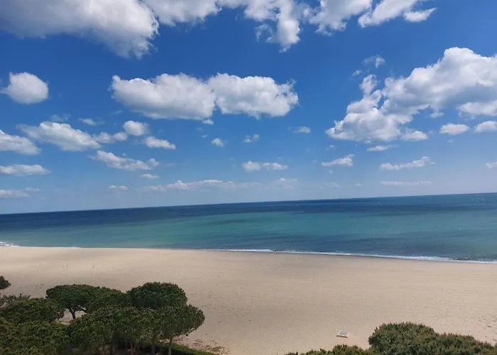 2 Pieces 4 Pers, Proche Plage, Animaux Acceptes - Fr-1-776-30 Argelès-sur-Mer