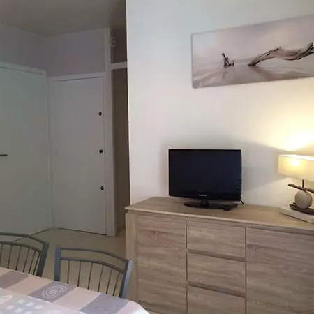 2 Pieces 4 Pers, Proche Plage, Animaux Acceptes - Fr-1-776-30 *
