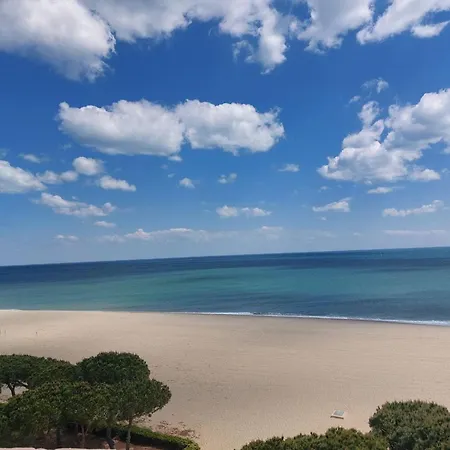 2 Pieces 4 Pers, Proche Plage, Animaux Acceptes - Fr-1-776-30 Argelès-sur-Mer